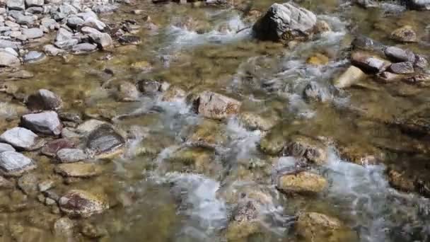 Ruisseau — Video