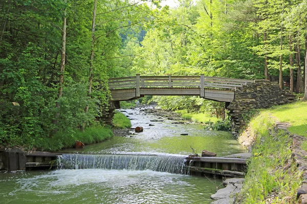 Puente de madera sobre Stony Brook — Foto de Stock