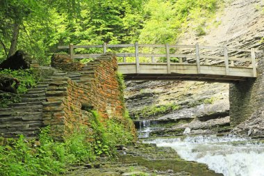 Stony Brook Sp içinde iz