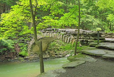 Stony Brook Sp taşlı Bridge'de