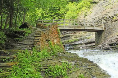 Stony Brook Gorge iz