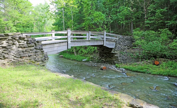 Pont en bois à Stony Brook SP — Photo