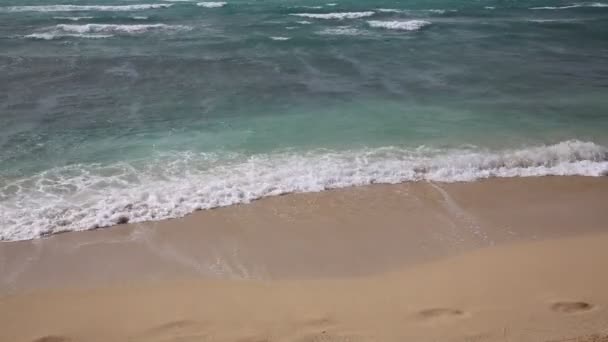 Vågor och stranden — Stockvideo
