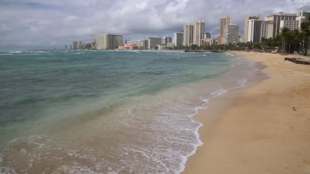 Playa de Waikiki, personas y aves — Vídeos de Stock