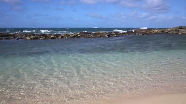 Bahía de natación — Vídeos de Stock