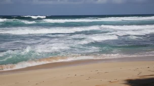 Quebrando ondas na Sunset Beach — Vídeo de Stock