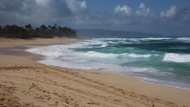 Pôr do sol praia — Vídeo de Stock