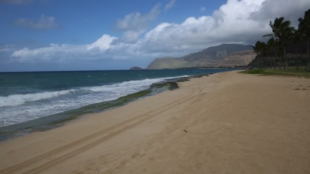 Paisagem na praia de Maili — Vídeo de Stock