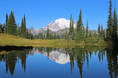 Reflection in Upper Tipsoo Lake clipart