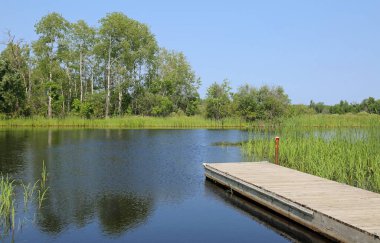 Gölde bir iskele - Voyageur Ulusal Parkı, Minnesota