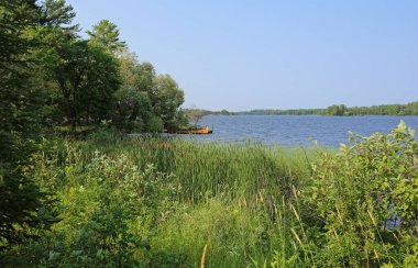 Kanolu yeşil sahil - Voyageurs Ulusal Parkı, Minnesota