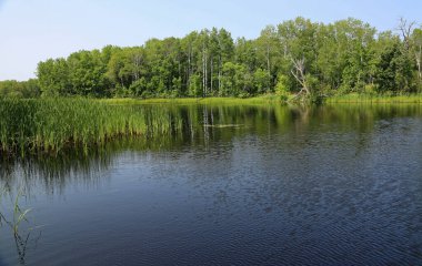 Yeşil ve mavi manzara - Voyageurs Ulusal Parkı, Minnesota
