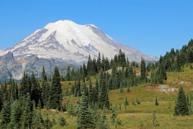 Mount Rainier Np