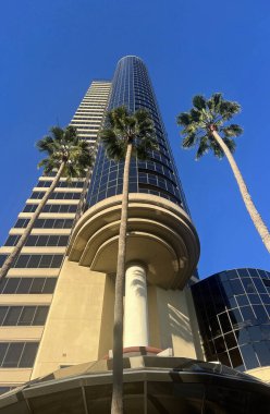 Üç palmiyeli modern bina - San Diego, California