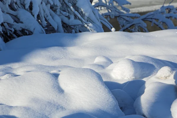 Nieve fresca intacta — Foto de Stock