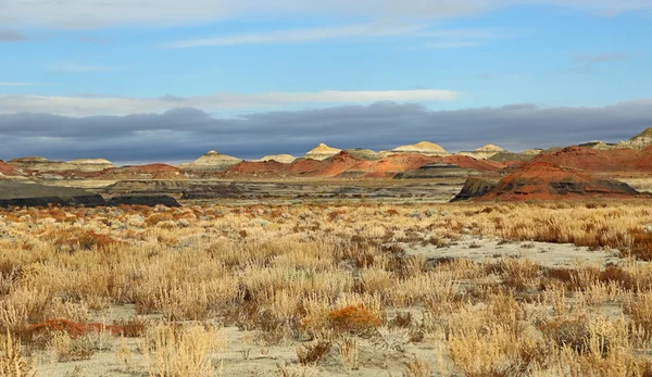 Colorful desert in Bisti — ストック写真