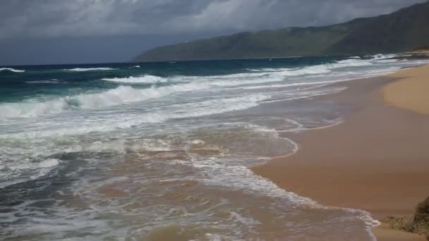 Ondas na praia de Keaau — Vídeo de Stock