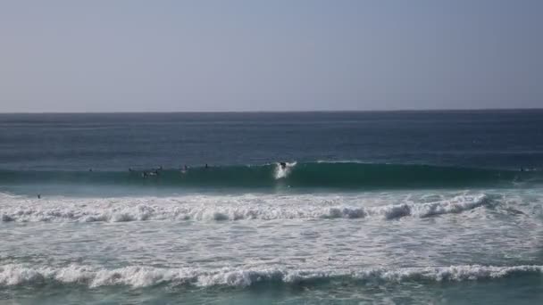 Surfers op golven — Stockvideo