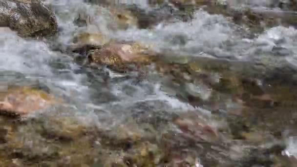 Acqua veloce - fiume Colorado — Video Stock