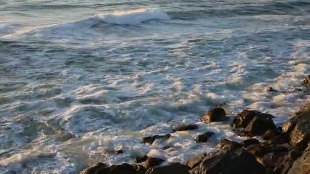 Волны и скалы - Калифорния — стоковое видео