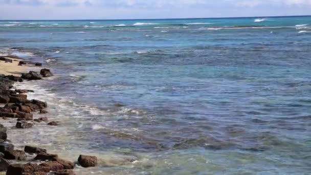 Pasifik Okyanusu kayalık plaj — Stok video