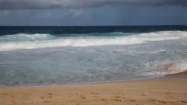 Долаючи хвилі - Норт-Шор — стокове відео