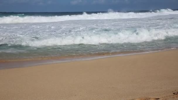 Κύματα στην παραλία - βόρεια ακτή — Αρχείο Βίντεο