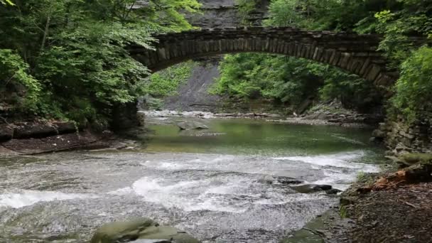 Stony Brook dere taşlı köprüden — Stok video