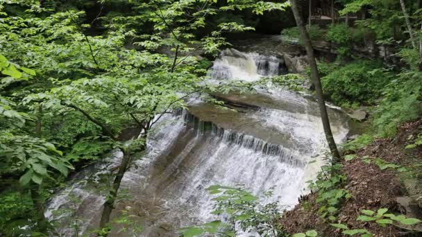 Cascades de Wolf Creek 