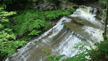Cascades Wolf Creek