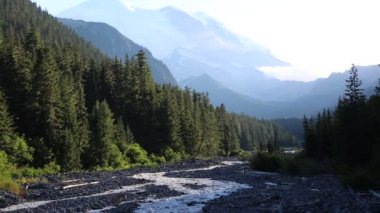 White River - Mount Rainier Np