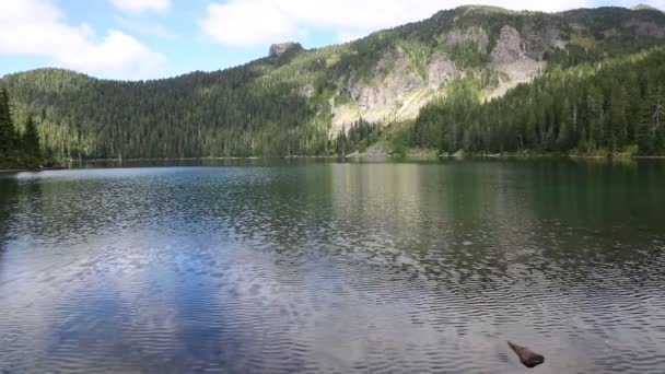 Op allemaal Lake - Mt Rainier Np — Stockvideo
