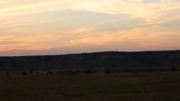 Na zonsondergang in North Dakota — Stockvideo