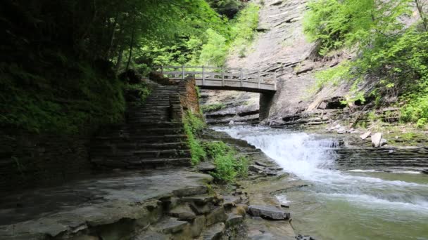 Stony Brook Sp — Αρχείο Βίντεο