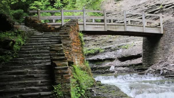 Houten brug over Stony Brook Creek — Stockvideo