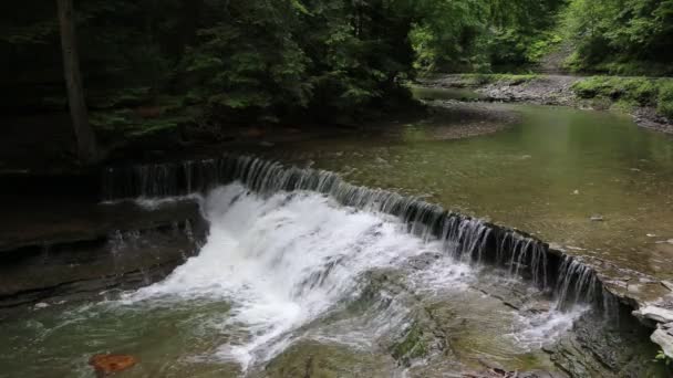 Cascate sul torrente Stony Brook — Video Stock