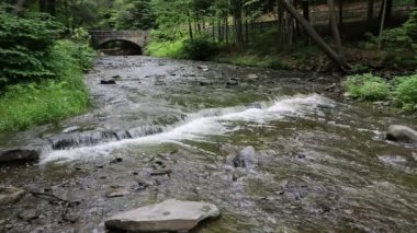 Wolf Creek - Letchworth Sp