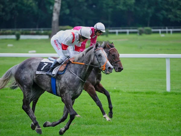 Horse Racing Warm Summer Day Bratislava Slovakia Stock Photo