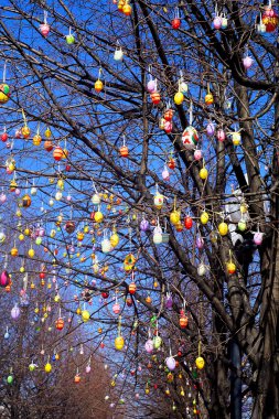 Paskalya yumurtaları ile dekore edilmiş ağaçlar