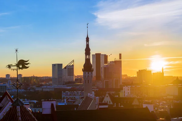 Morning panorama of Tallinn, Estonia — Stock Photo, Image