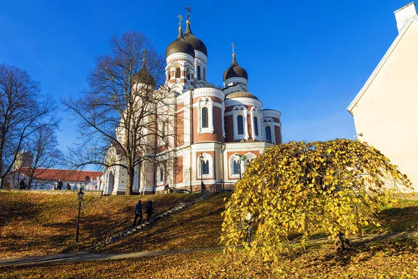 Catedral de Alexander Nevsky en otoño. Tallin. Países Bajos — Foto de Stock