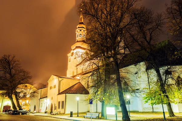 Domkyrkan i Tallinn, nattvisning — Stockfoto