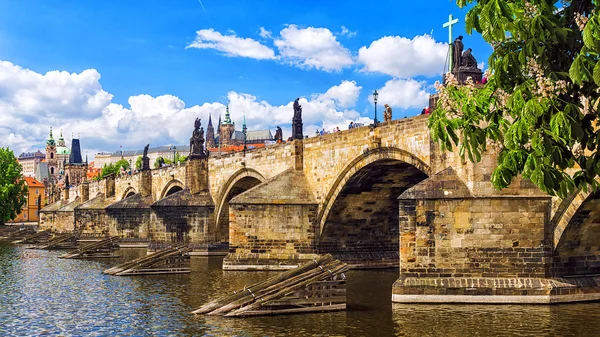 Karlsbrücke in Prag. Tschechien — Stockfoto