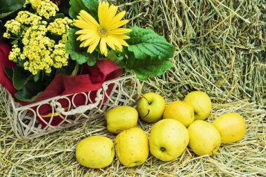 Çiçekler ve saman elma