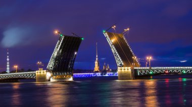 Palace bridge St Petersburg, Rusya Federasyonu