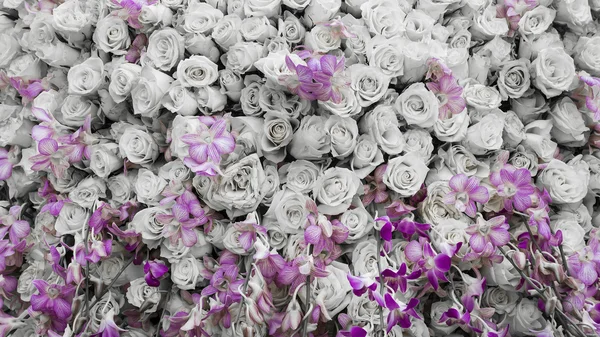 Background of flowers roses and orchids — Stock Photo, Image