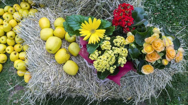 Flowers and apple on hay — Stock Photo, Image