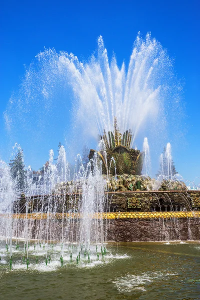 Fountain Stone flower VVC, Moscovo, Rússia — Fotografia de Stock