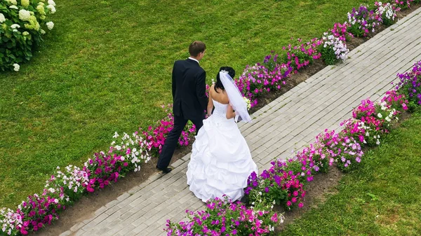 The bride and groom. Wedding — Stock Photo, Image