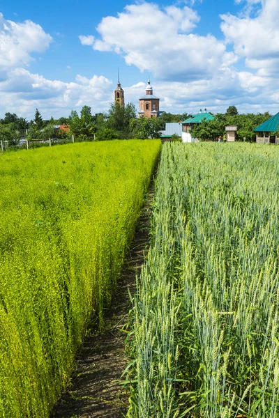 Venäjän historiallinen kaupunki - Suzdal — kuvapankkivalokuva